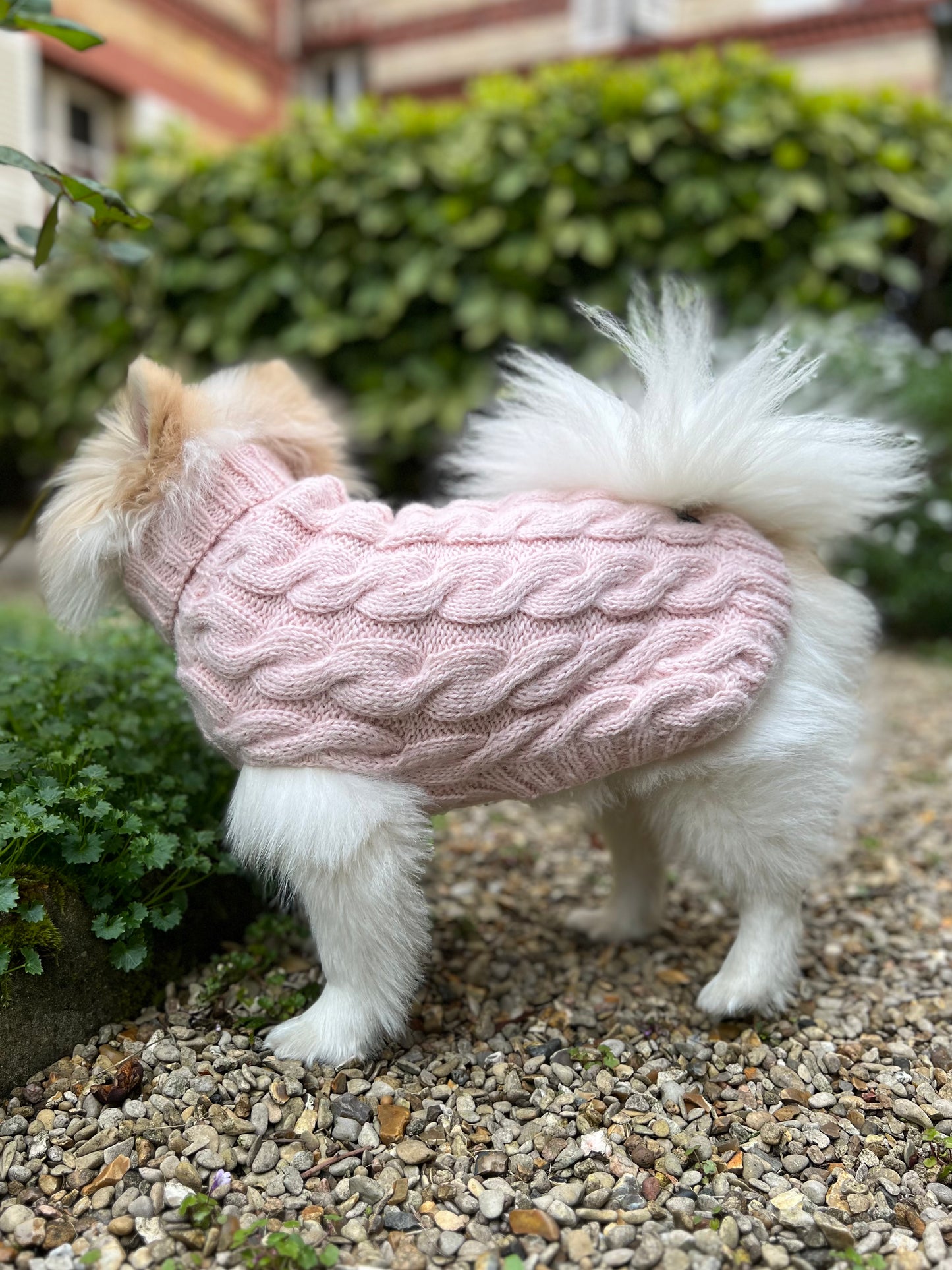 DOG SWEATER BEST SELLER HANDMADE IN PREMIUM ALPACA (Copy) Colette et Gastón