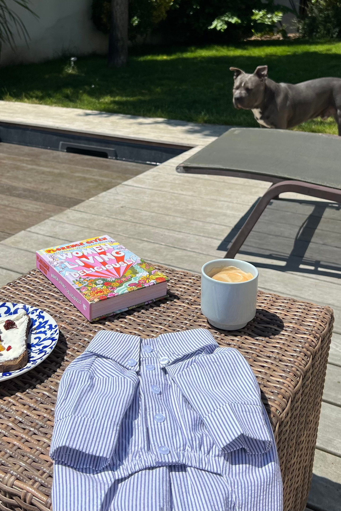 Outdoor setting with a table featuring a plate of food, book, mug, and striped shirt, with a dog in the background.