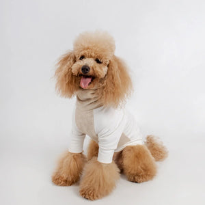 Jumper Sweat Ultra Soft Coton Gots Colette et Gastón