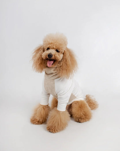 Jumper Sweat Ultra Soft Coton Gots Colette et Gastón