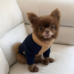 Jumper Sweat Ultra Soft Coton Gots Colette et Gastón