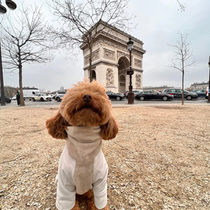 Jumper Sweat Ultra Soft Coton Gots Colette et Gastón