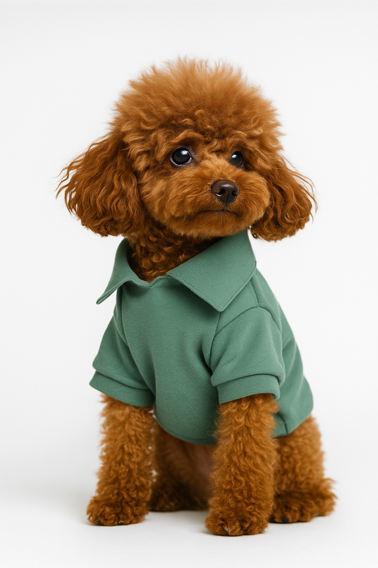 Luxury dog polo in solid colour — The Serine Top by Colette et Gastón, made in Paris.