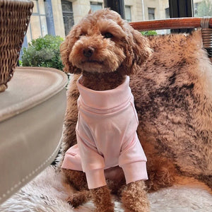 Camiseta algodon perros mascotas madrid