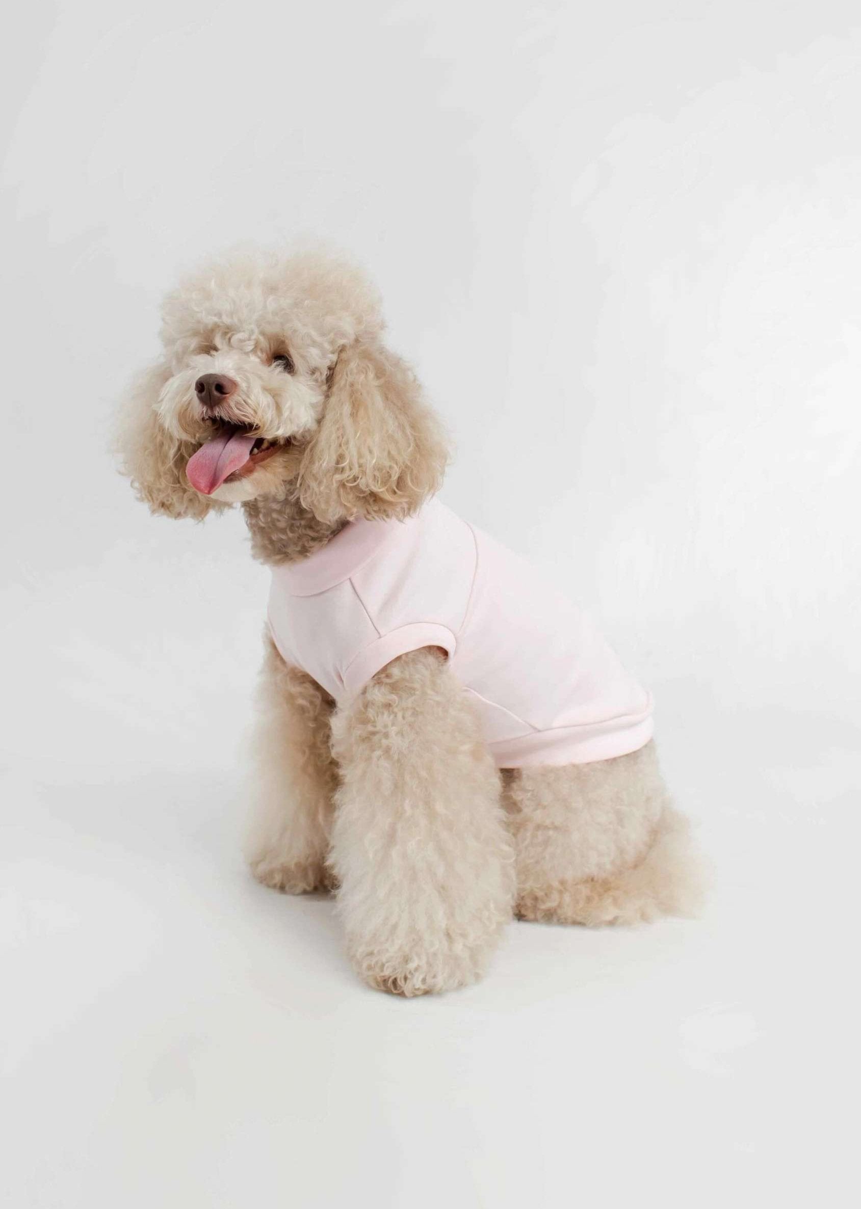 Dog T-Shirt Pour Chien For Summer In Cotton  Breathable Hypoallergenic Colette Et Gastón