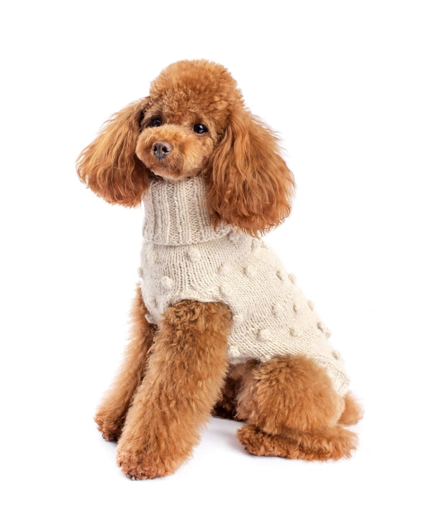 Dog Sweater Dots Handmade In Premium Alpaca