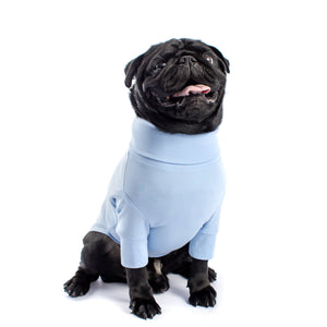 Polo para perro de Algodón Pima Ultra Suave, Un Básico Necesario para la piel tu Mascota