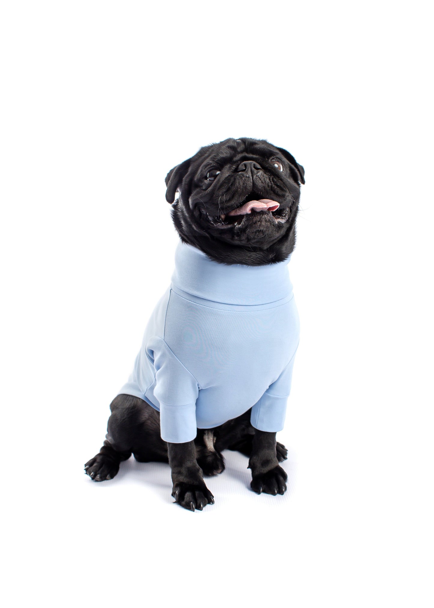 Esséa Dog T-Shirt personalizable