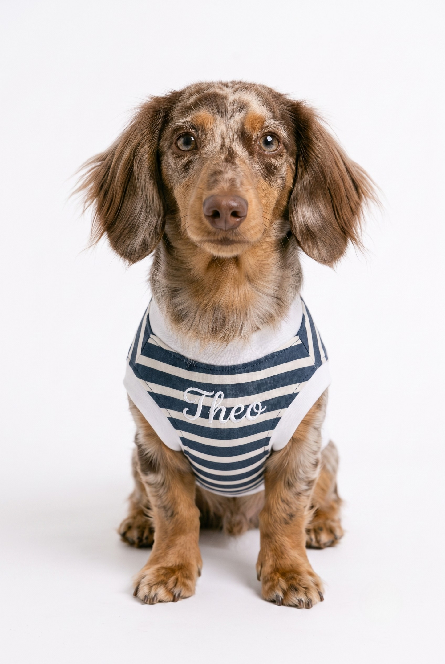 The Teckel Bleu de Paris Dog T-shirt
