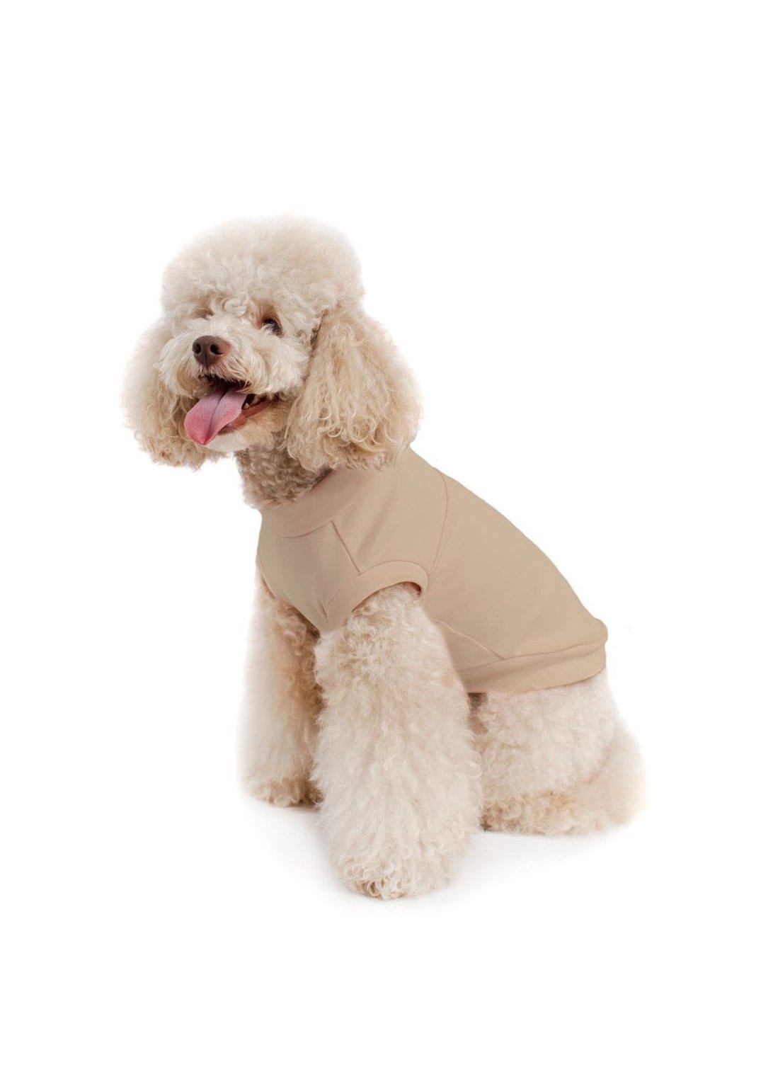 dog-t-shirt-nude-aesthetic-chien-pima-cotton