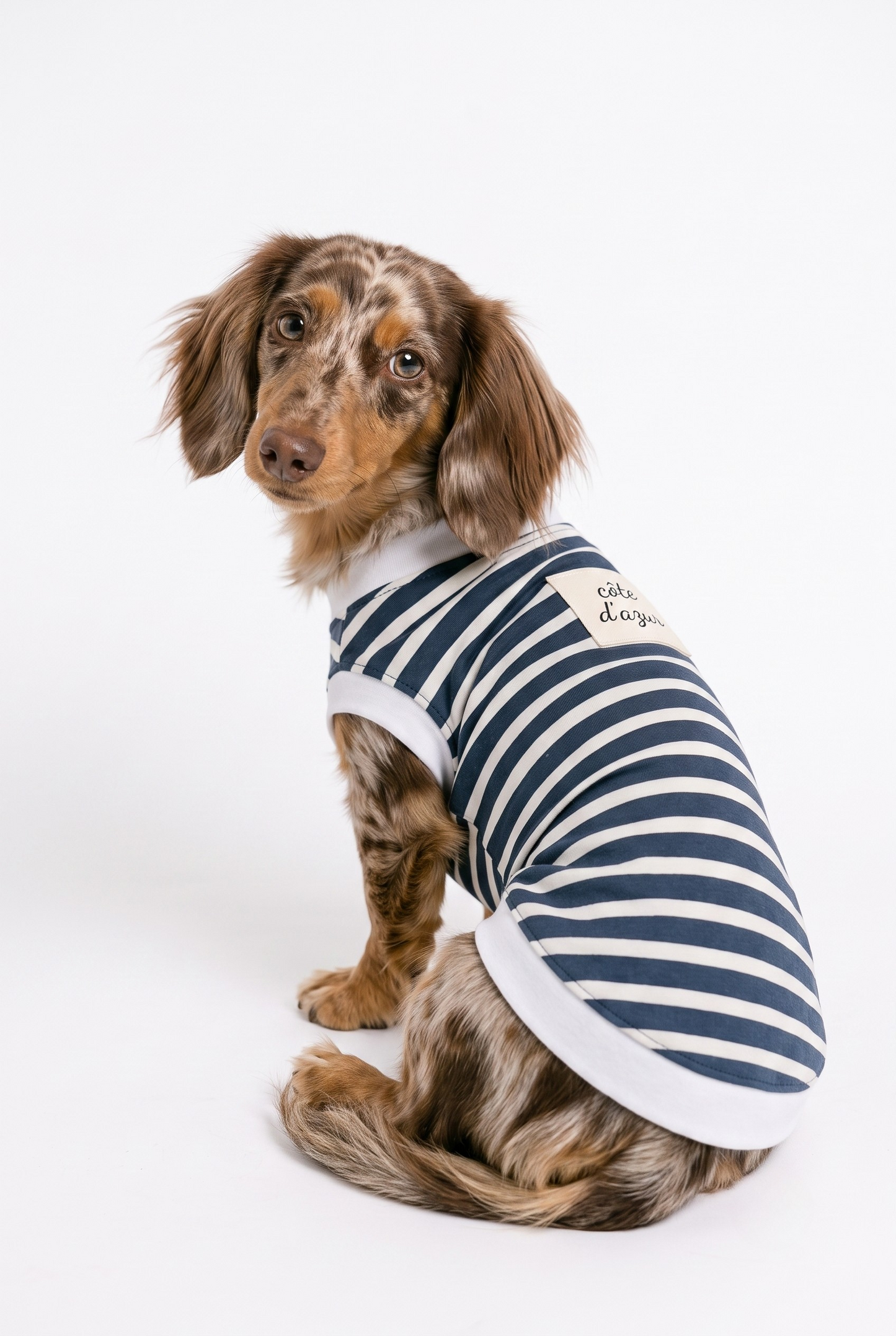 The Teckel Bleu de Paris Dog T-shirt