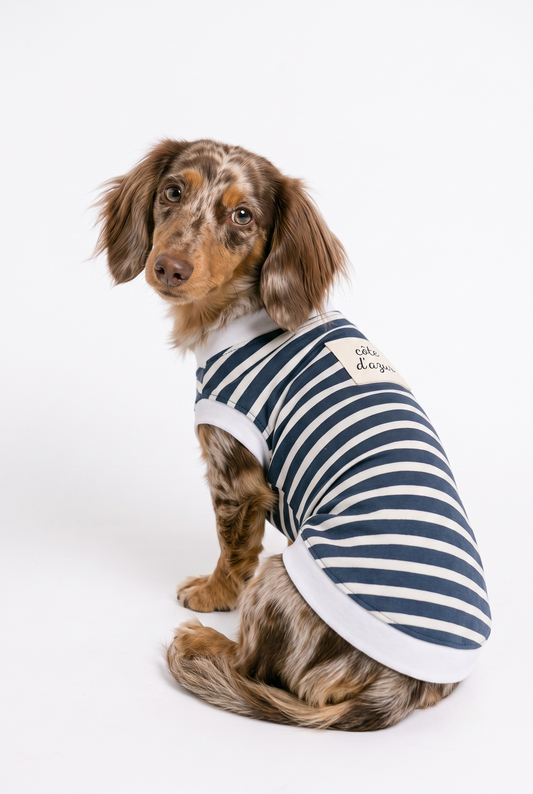 The Teckel Bleu de Paris Dog T-shirt