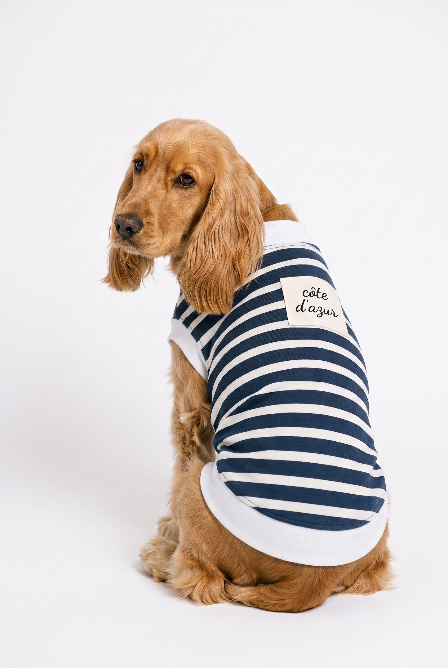Camiseta para perros "Detrás de tu ropa sintética" Todas las estaciones