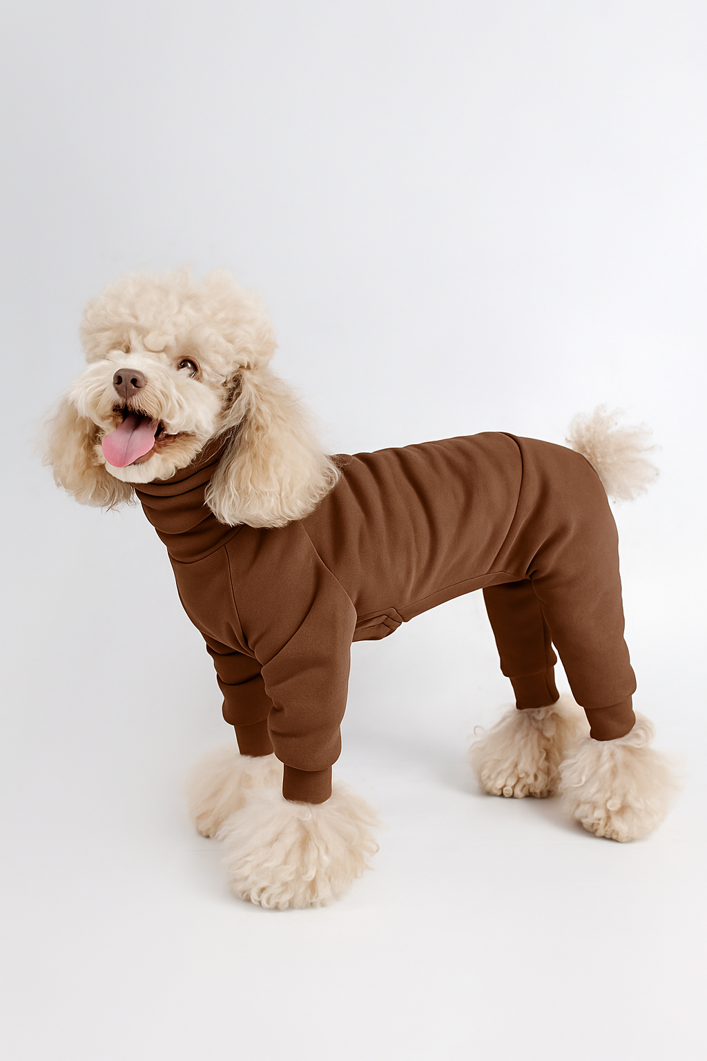 Lien Dog Onesie In Organic Cotton