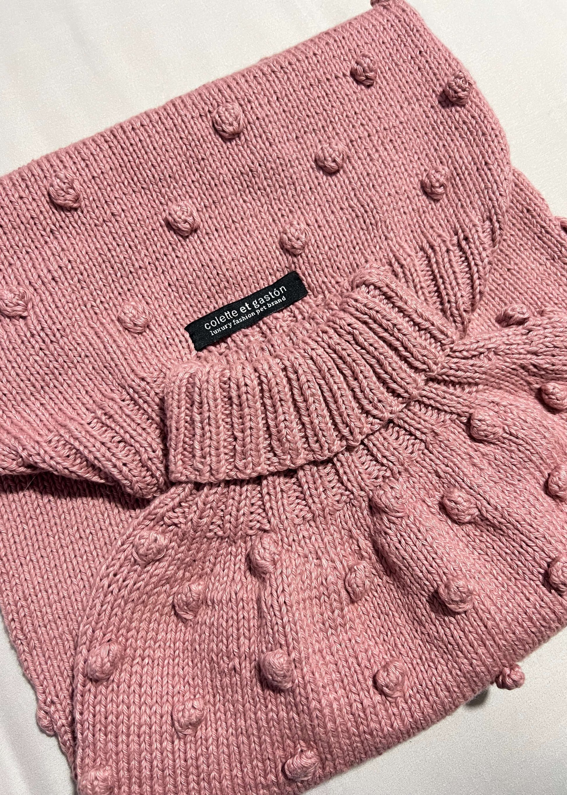 pull chien coton