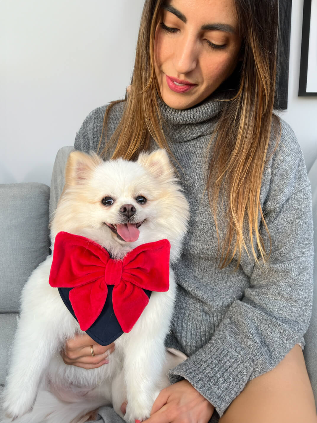 Dog Bandana In Cotton Velour With Big Bow Detail