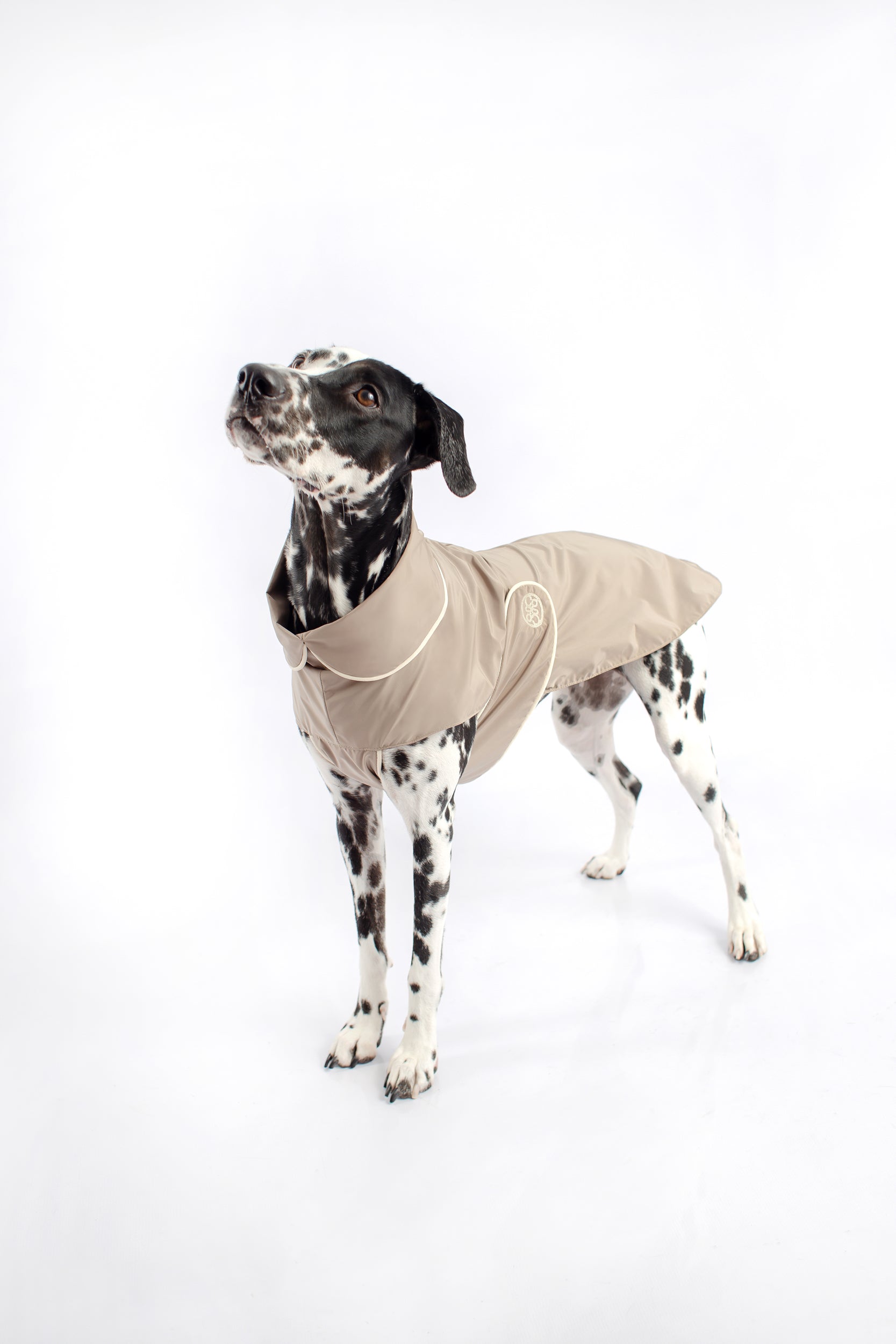 dog waterproof raincoat