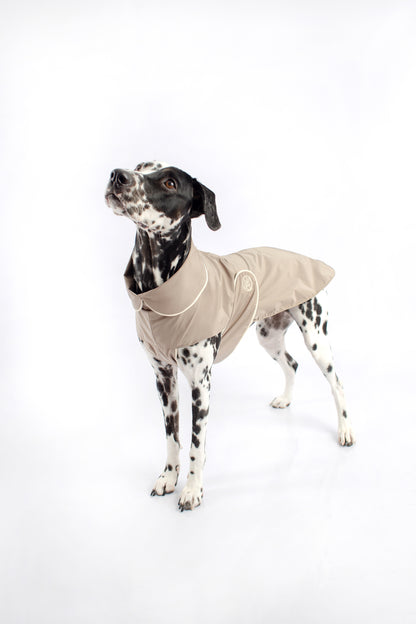 dog waterproof raincoat