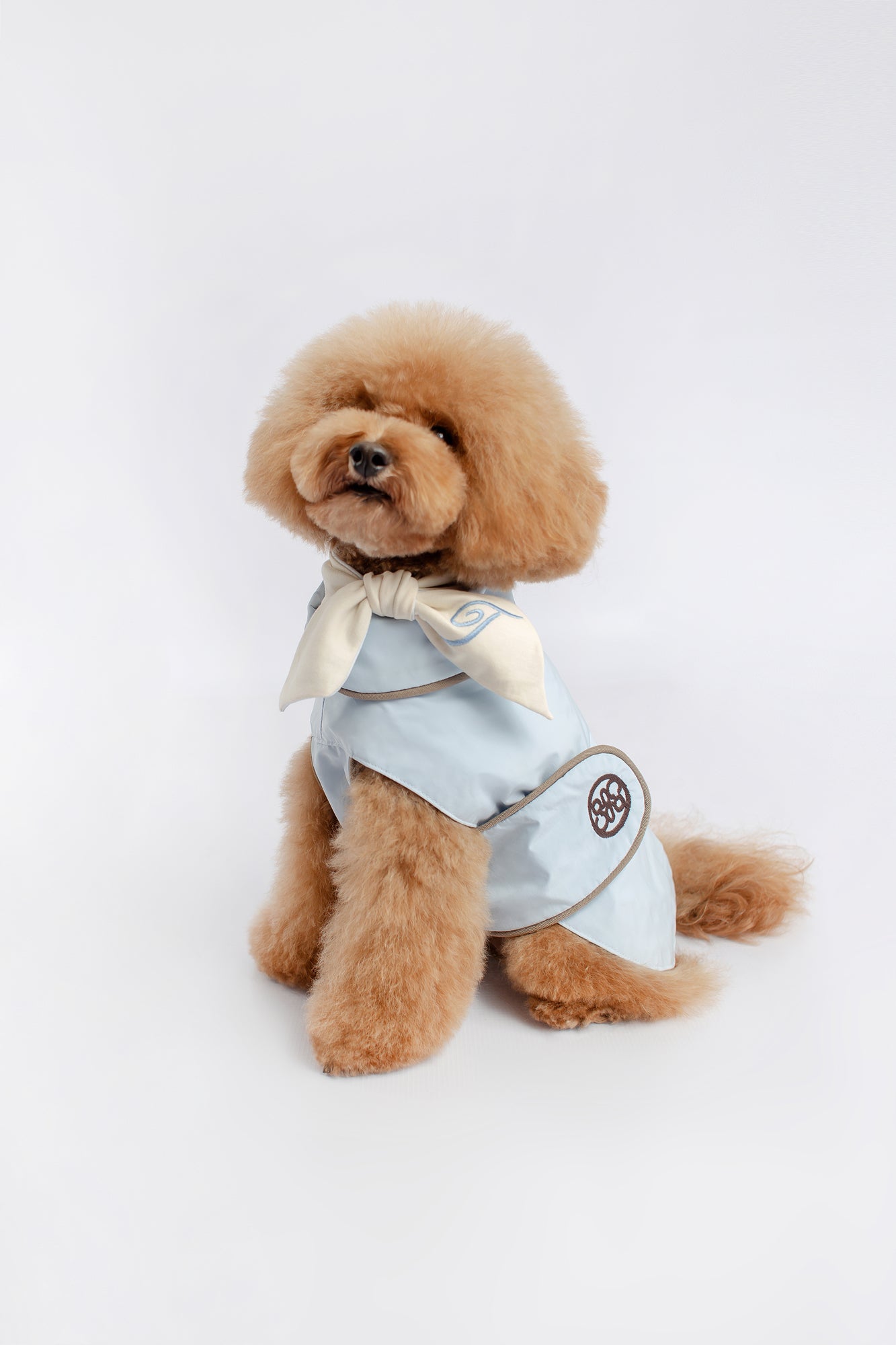 impermeable perro chubasquero