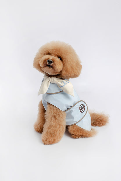 impermeable perro chubasquero