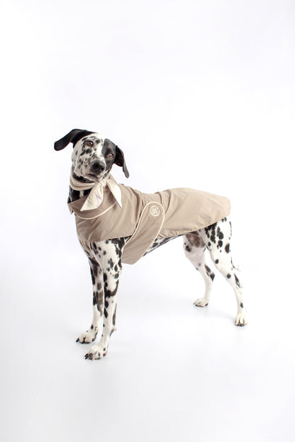 dog raincoat