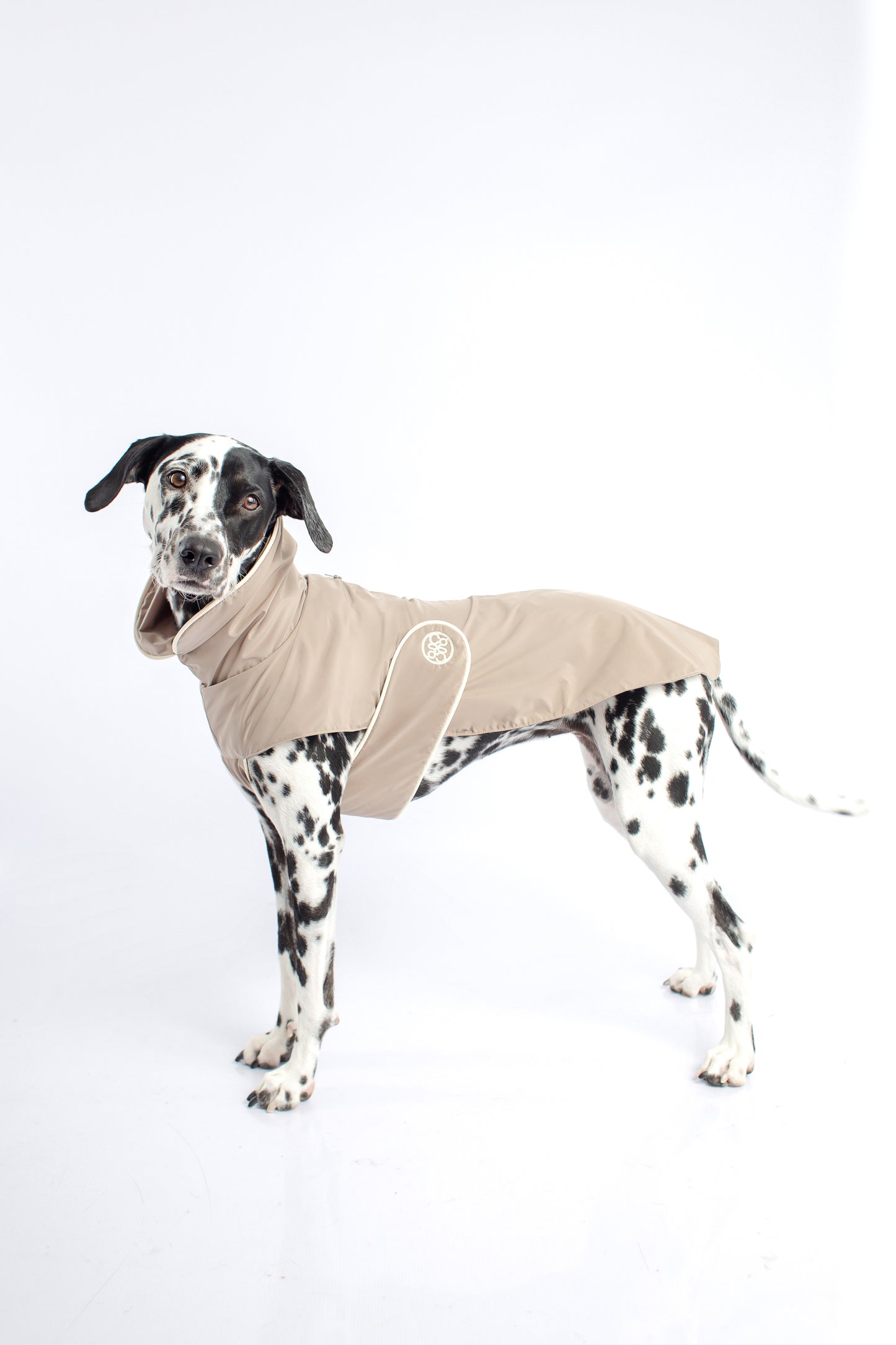 Impermeable para perro