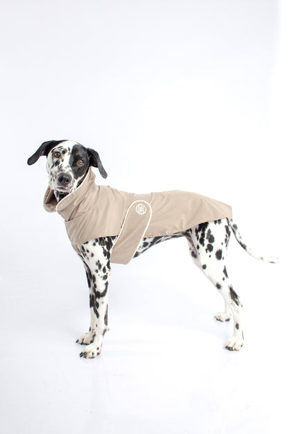Impermeable para perro