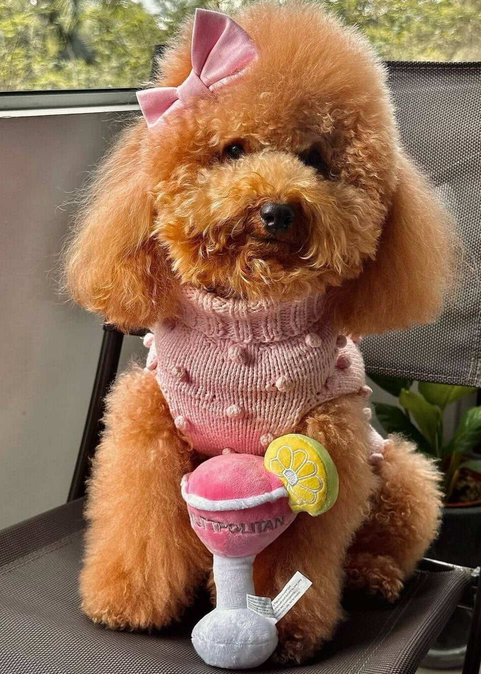Cotton Dog Sweater Handmade by Peruvian Artisans