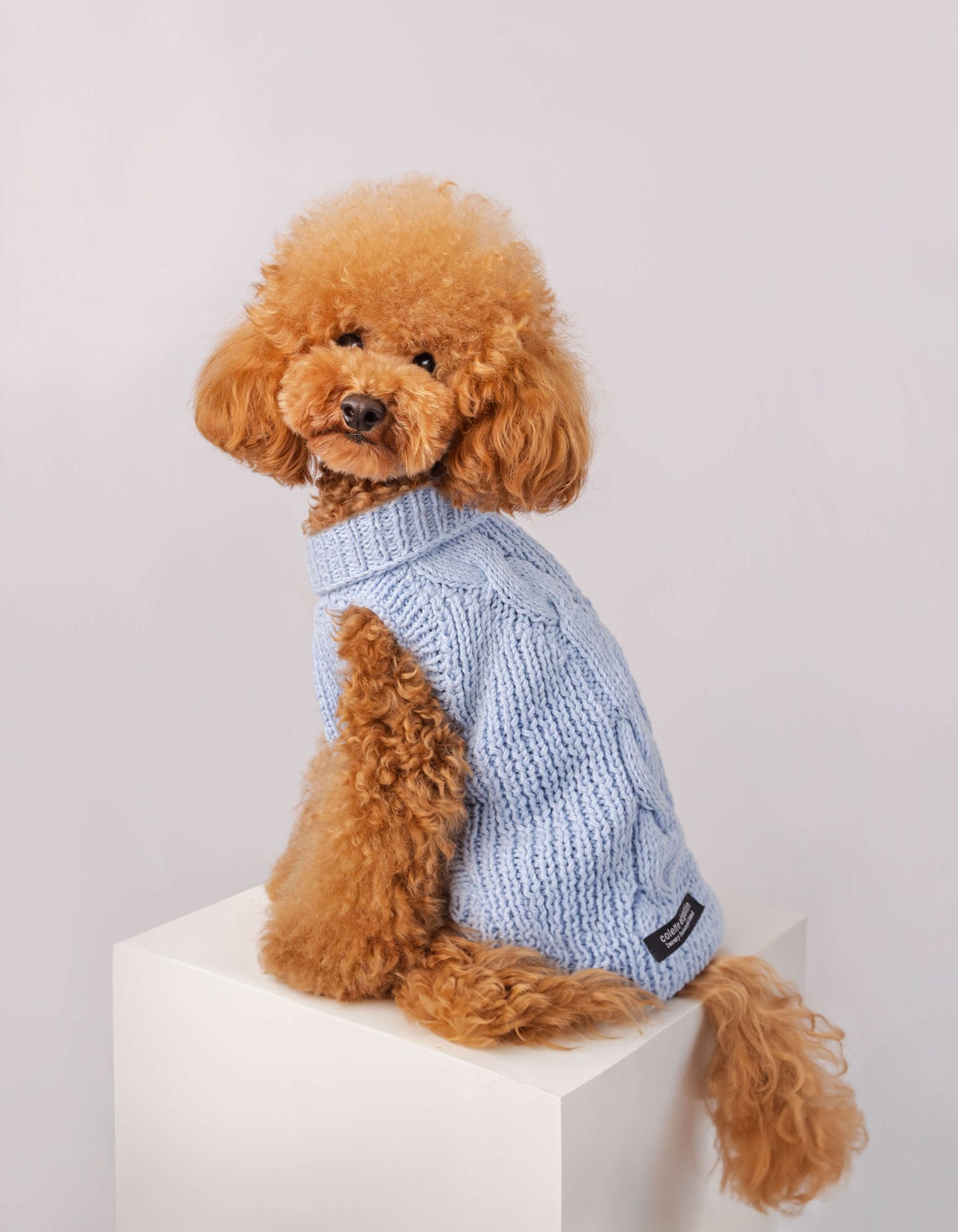 Single Back Braid Dog Sweater Hypoallergenic & Soft in Premium Cotton