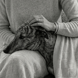 The Baby Alpaca Blanket