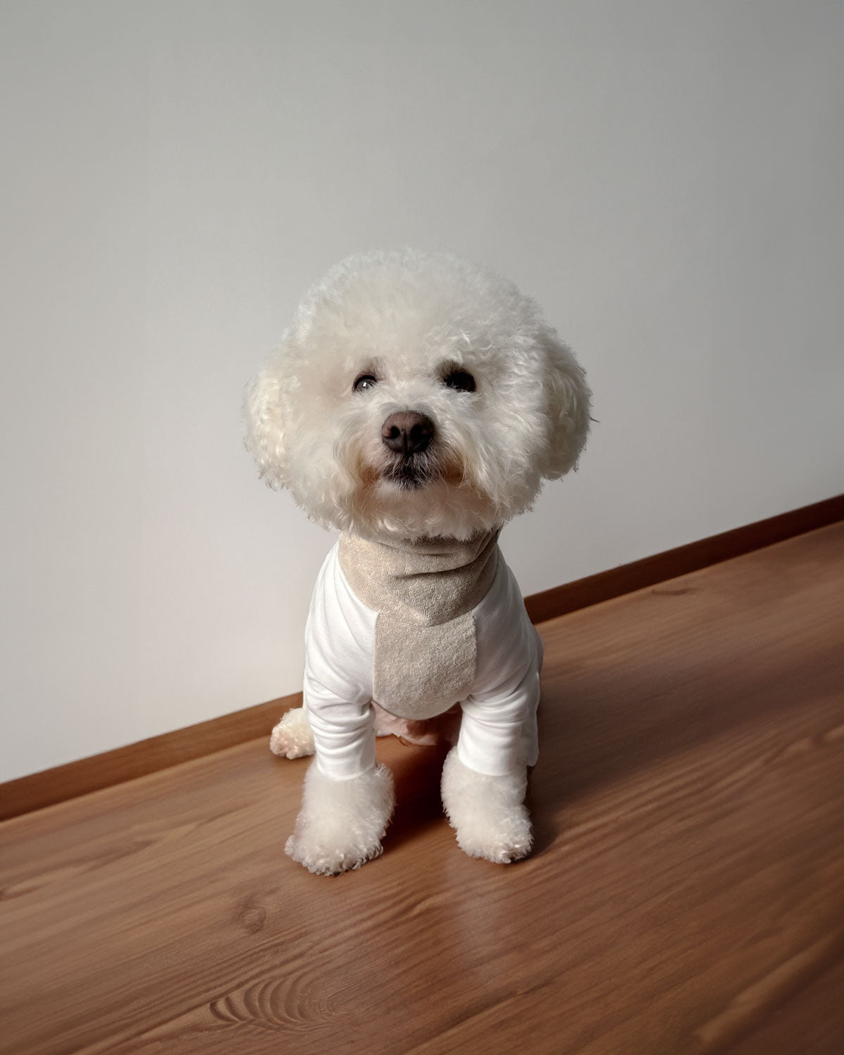 DOG HOODIE SWEAT ULTRA SOFT COTTON GOTS Colette et Gastón