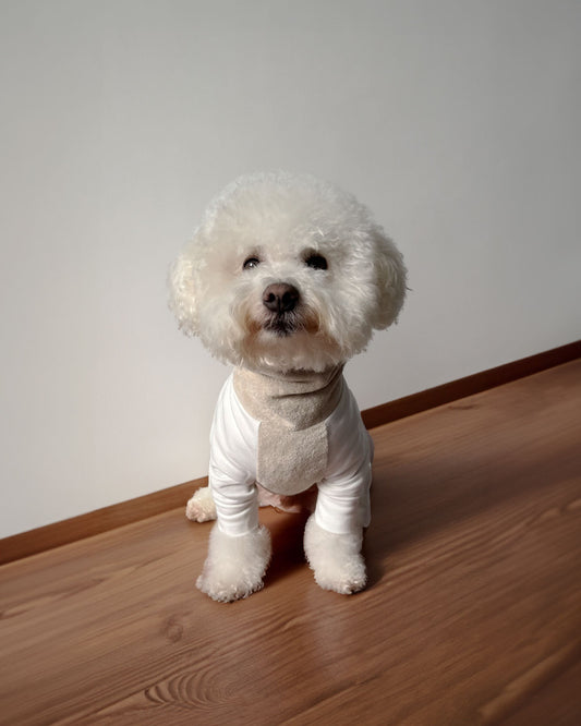 DOG HOODIE SWEAT ULTRA SOFT COTTON GOTS Colette et Gastón
