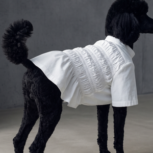 The Smocked Blouse, soon.