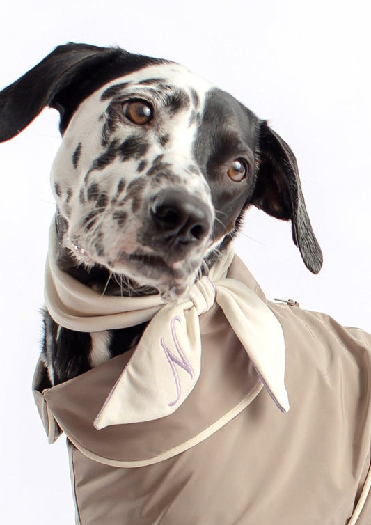 Dog Scarf Reversible Design and Customizable