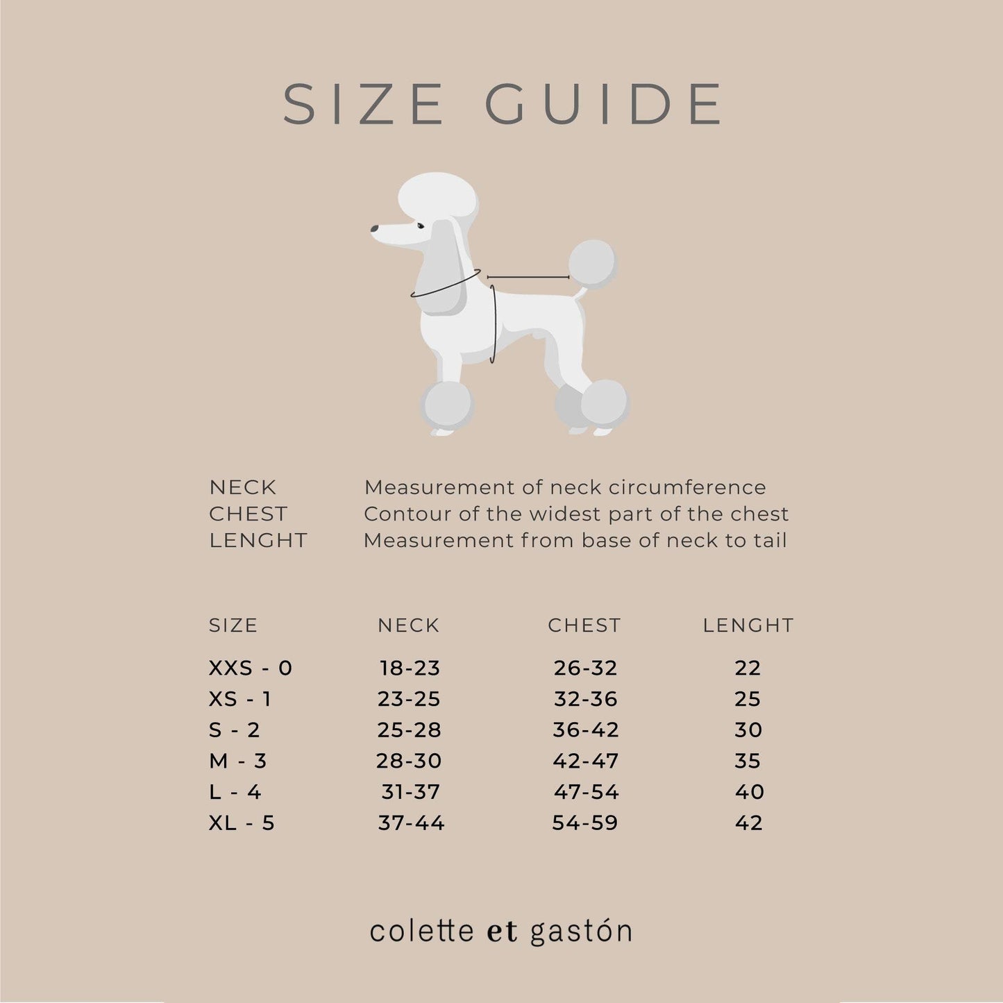 Chemise pour chien en Coton Doux