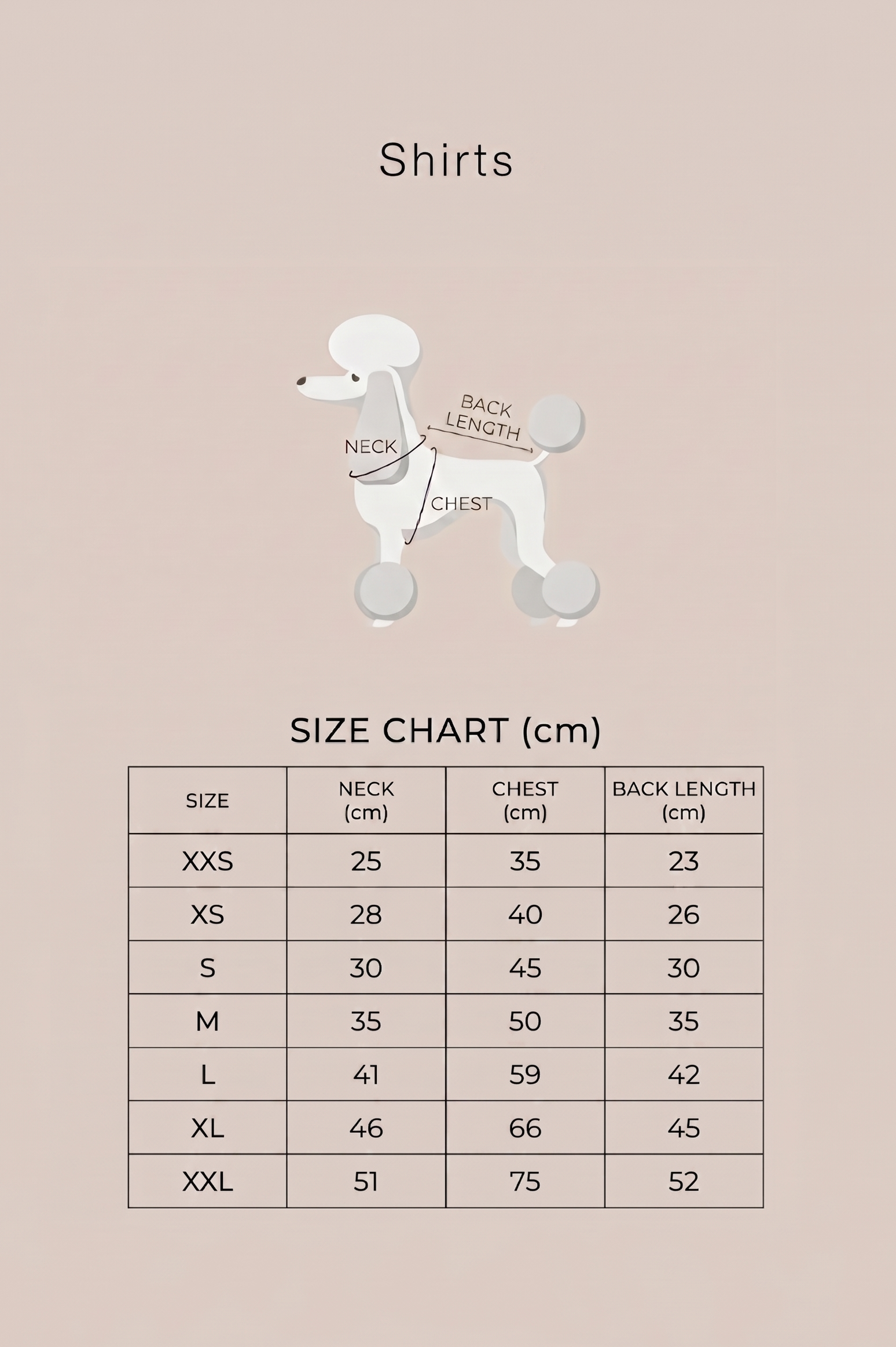 Size chart for shirts with a poodle illustration on a beige background, featuring Colette et Gastón branding.