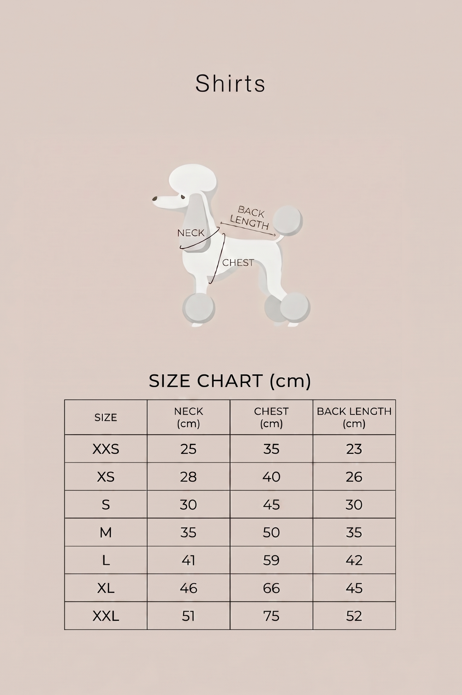 Size chart for shirts with a poodle illustration on a beige background, featuring Colette et Gastón branding.